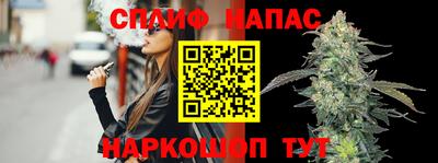 прущие грибы Пенза
