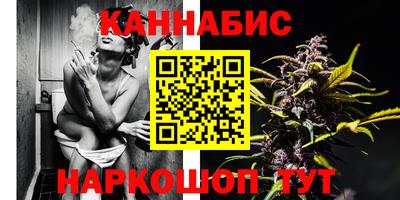 прущие грибы Пенза