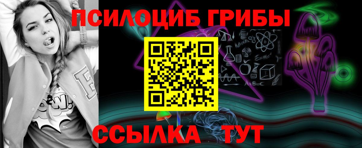 Псилоцибиновые грибы Cubensis  Псилоцибиновые грибы GOLDEN TEACHER  Таганрог  закладка  Вход с VPN 